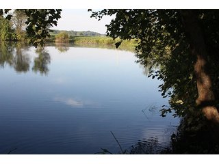 Property photo 56 - ILLINOIS LAND AUCTION - 705+/- ACRES OFFERED IN 16 TRACTS IN EDWARDS COUNTY, ILLINOIS